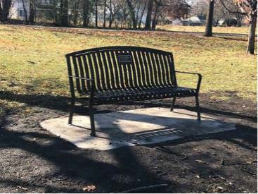 Black metal bench in a park with grass and trees in the background